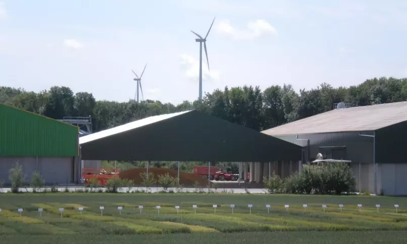 Auvent pour stocker des céréales en vrac