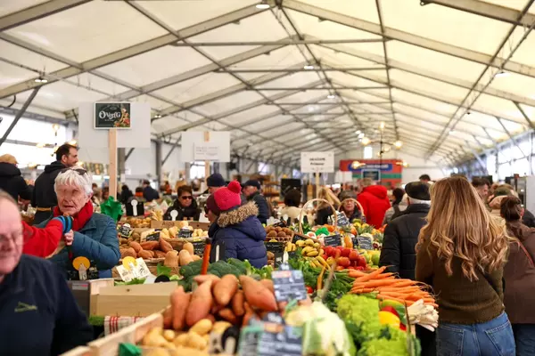 Halles marchandes Spaciotempo